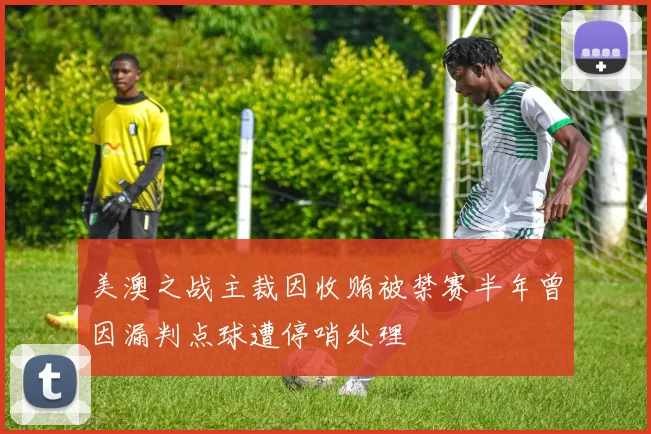 美澳之战主裁因收贿被禁赛半年曾因漏判点球遭停哨处理