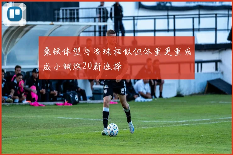 桑顿体型与洛瑞相似但体重更重或成小钢炮20新选择